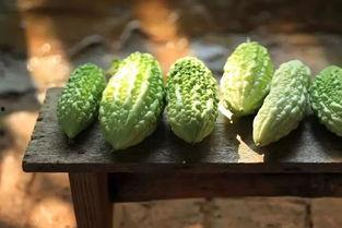 吃瓜头还是瓜尾好消化呢