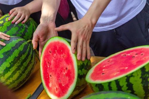 吃瓜我的学校,揭秘“吃瓜”背后的校园生活