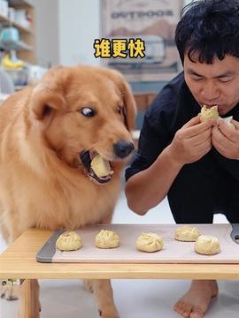 小狗宝宝吃瓜,萌态十足引网友热议