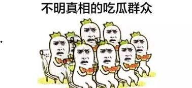 吃瓜泄密奇葩汇总,奇葩事件汇总盘点