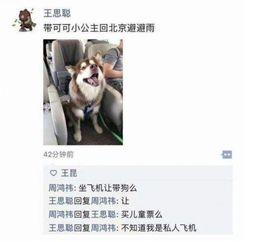 吃瓜网友小王,吃瓜网友小王带你揭秘娱乐圈那些事儿