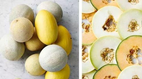 你喜欢吃瓜,探寻我最爱的那些瓜