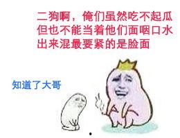 小狗吃瓜群众视频,小狗吃瓜群众萌态百出