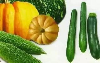 东川吃瓜,揭秘当地特色美食背后的故事