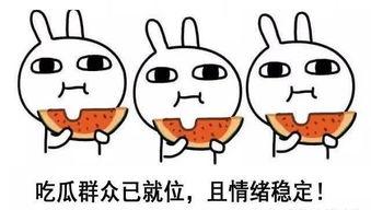 呆瓜吃瓜的梗,一场爆笑的瓜界盛宴