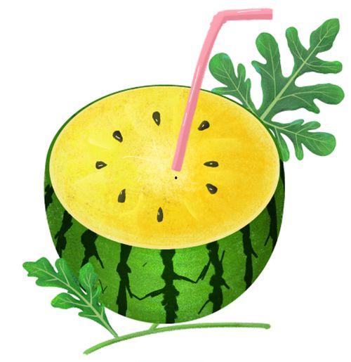 吃瓜极简史图片,从古至今的演变轨迹