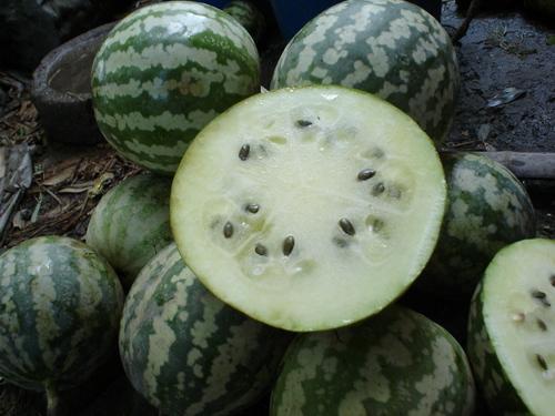 吃瓜如何,一场全民参与的娱乐盛宴