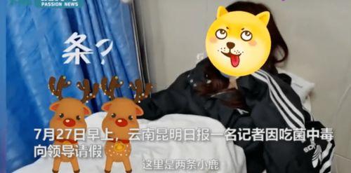 迷惑吃瓜菌npc,网络迷雾中的神秘角色