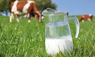 国货吃瓜酱,吃瓜酱引领潮流新风尚