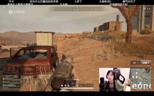 上海吃鸡吃瓜事件真相,真相与反思