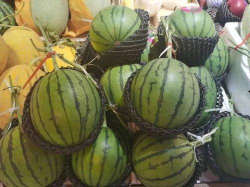 可以吃瓜了吗,一场关于网络热词的趣味探讨