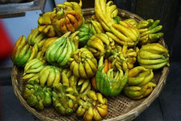 南方吃佛手瓜,佛手瓜的独特风味之旅