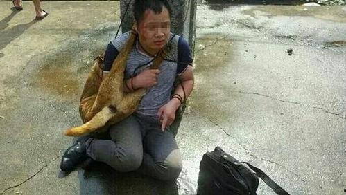 偷狗贼吃瓜视频