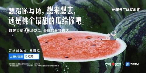 儿子吃瓜文案,儿子吃瓜，趣味横生