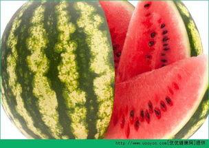 天天西瓜地里吃瓜,天天西瓜地里吃瓜的悠闲时光