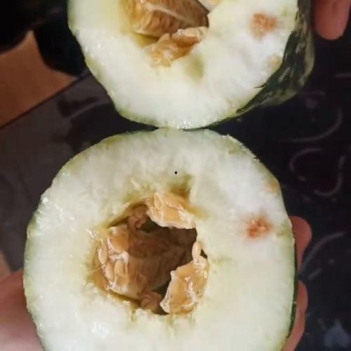 朋友说有瓜吃,朋友口中那令人垂涎欲滴的“瓜”