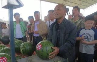 石佛寺吃瓜群众