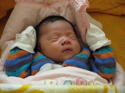 崽崽吃瓜,揭秘娱乐圈那些不为人知的幕后故事