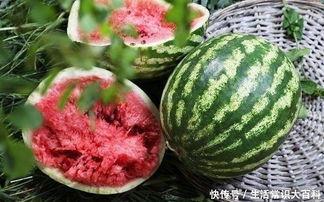 肝癌可以吃瓜,合理吃瓜，助力康复之路