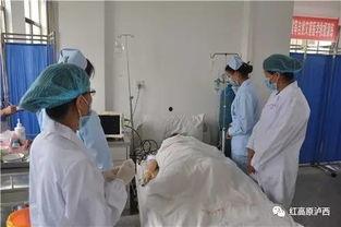 汕头吃瓜医院,揭秘日常趣闻与温馨瞬间