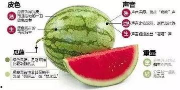 吃瓜文微信,微信社交的另类现象