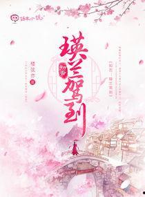 吃瓜茶艺小说,茶香四溢的悬疑茶艺江湖