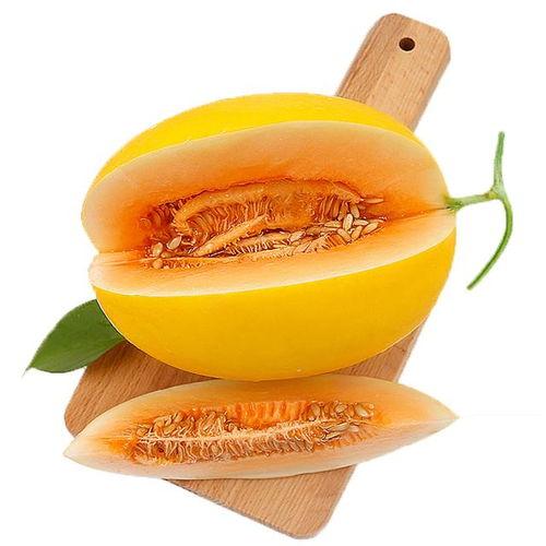 吃蜜瓜锁喉,揭秘夏日消暑美食背后的惊悚真相