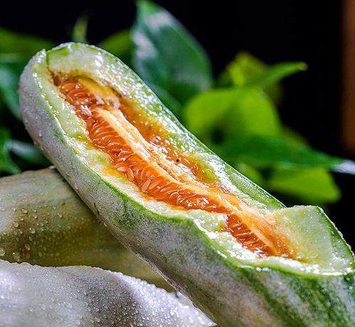 山东改编音乐吃瓜,吃瓜群众眼中的“瓜田”盛宴